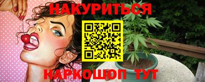 прущие грибы Будённовск