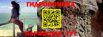 прущие грибы Будённовск
