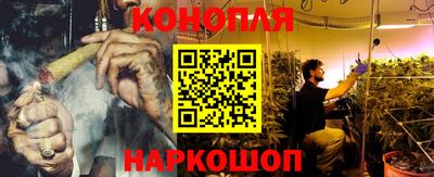 прущие грибы Будённовск
