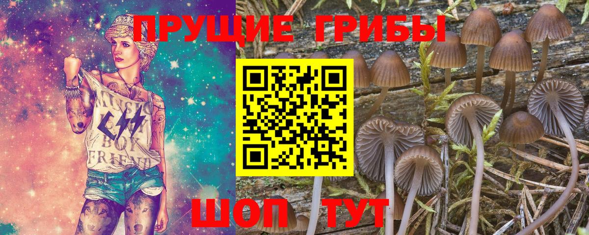 Псилоцибиновые грибы Magic Shrooms Астрахань