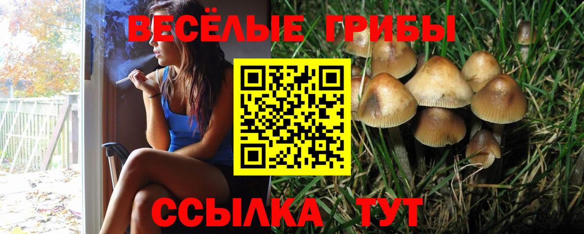 Галлюциногенные грибы ЛСД  Вход с VPN  Астрахань 