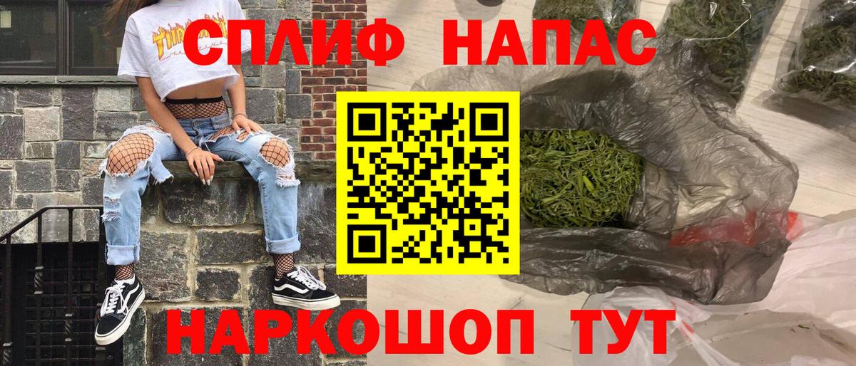 Конопля сатива Астрахань